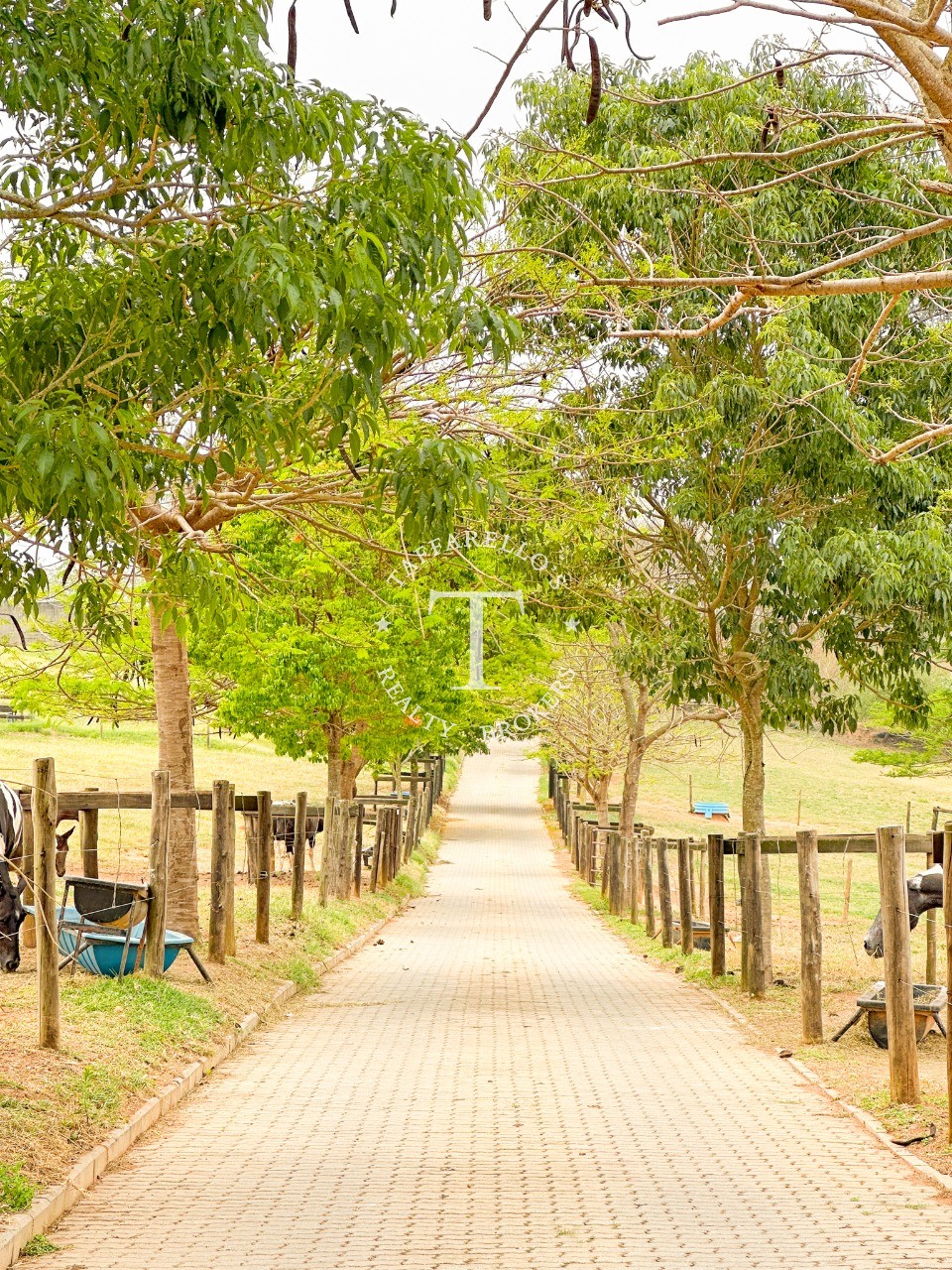 Fazenda à venda com 2 quartos, 1050m² - Foto 40