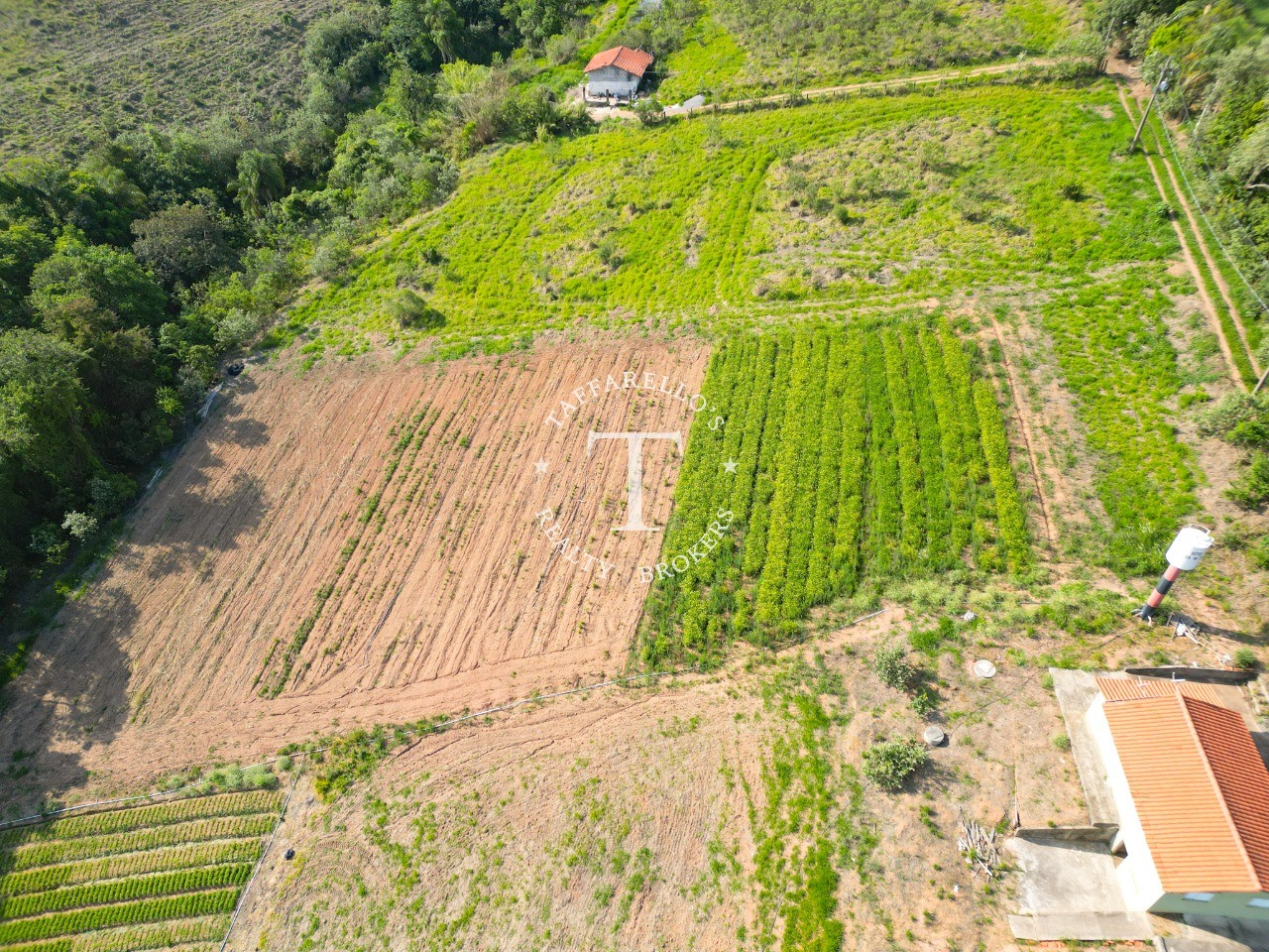 Fazenda à venda com 3 quartos, 318m² - Foto 5