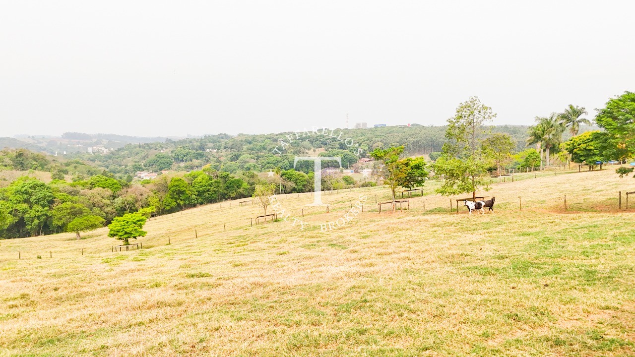 Fazenda à venda com 2 quartos, 1050m² - Foto 12