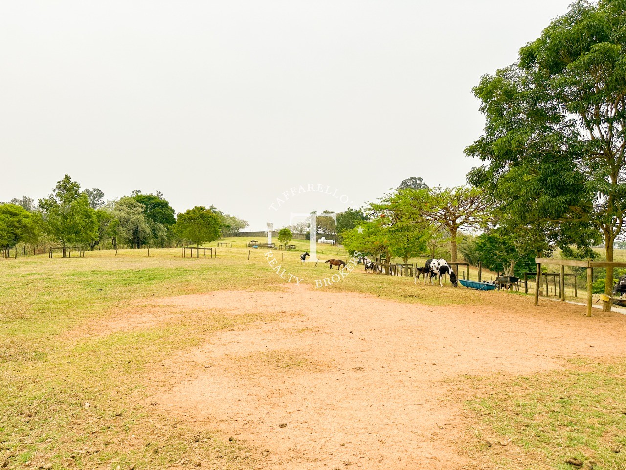 Fazenda à venda com 2 quartos, 1050m² - Foto 38