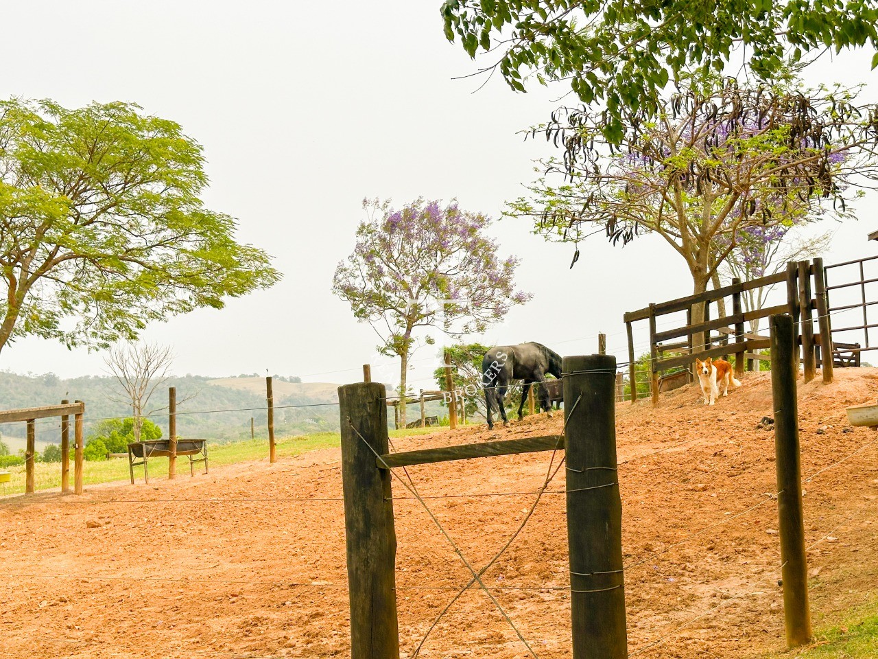 Fazenda à venda com 2 quartos, 1050m² - Foto 89