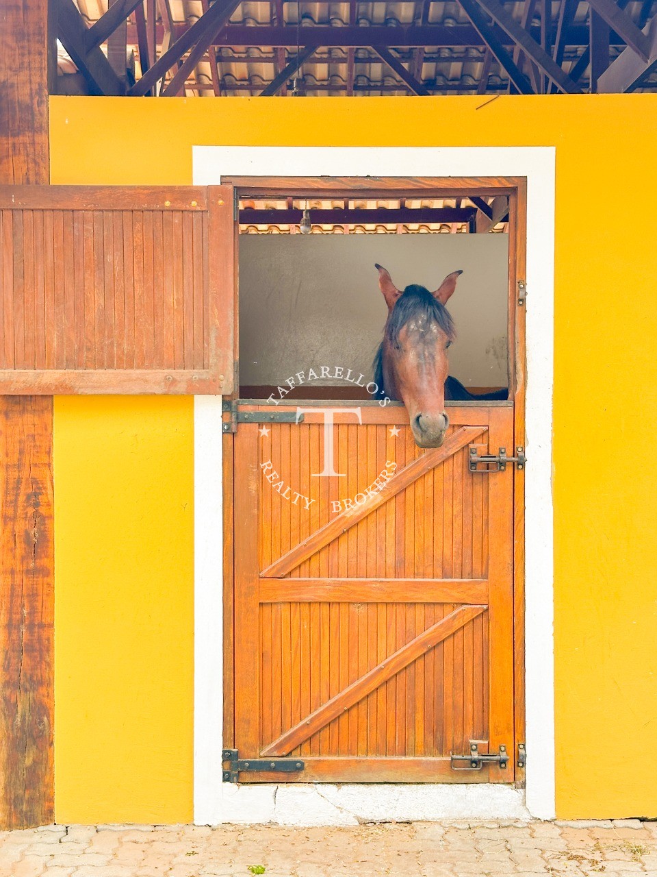 Fazenda à venda com 2 quartos, 1050m² - Foto 32