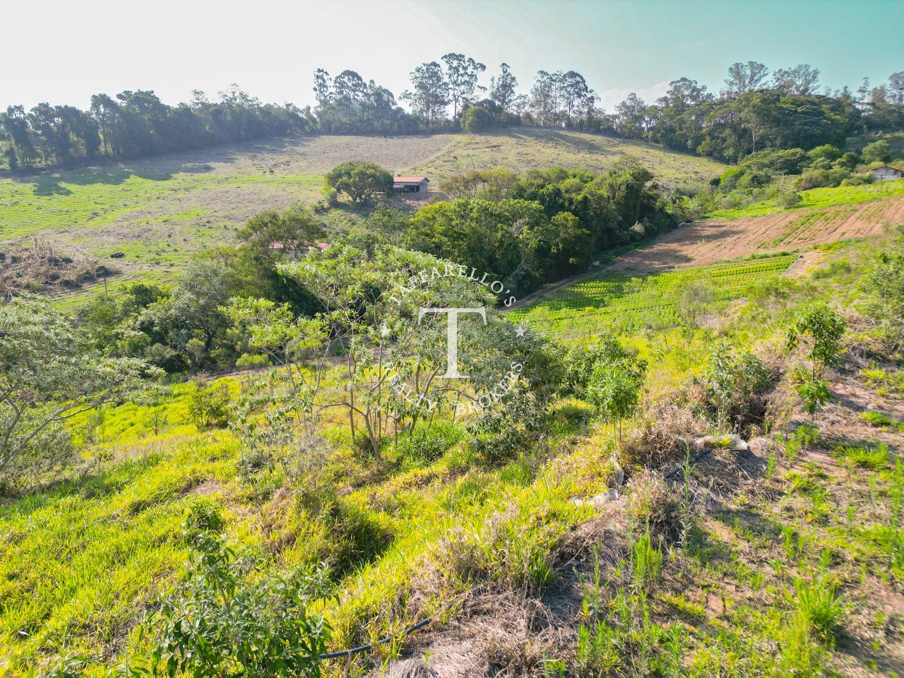 Fazenda à venda com 3 quartos, 318m² - Foto 8