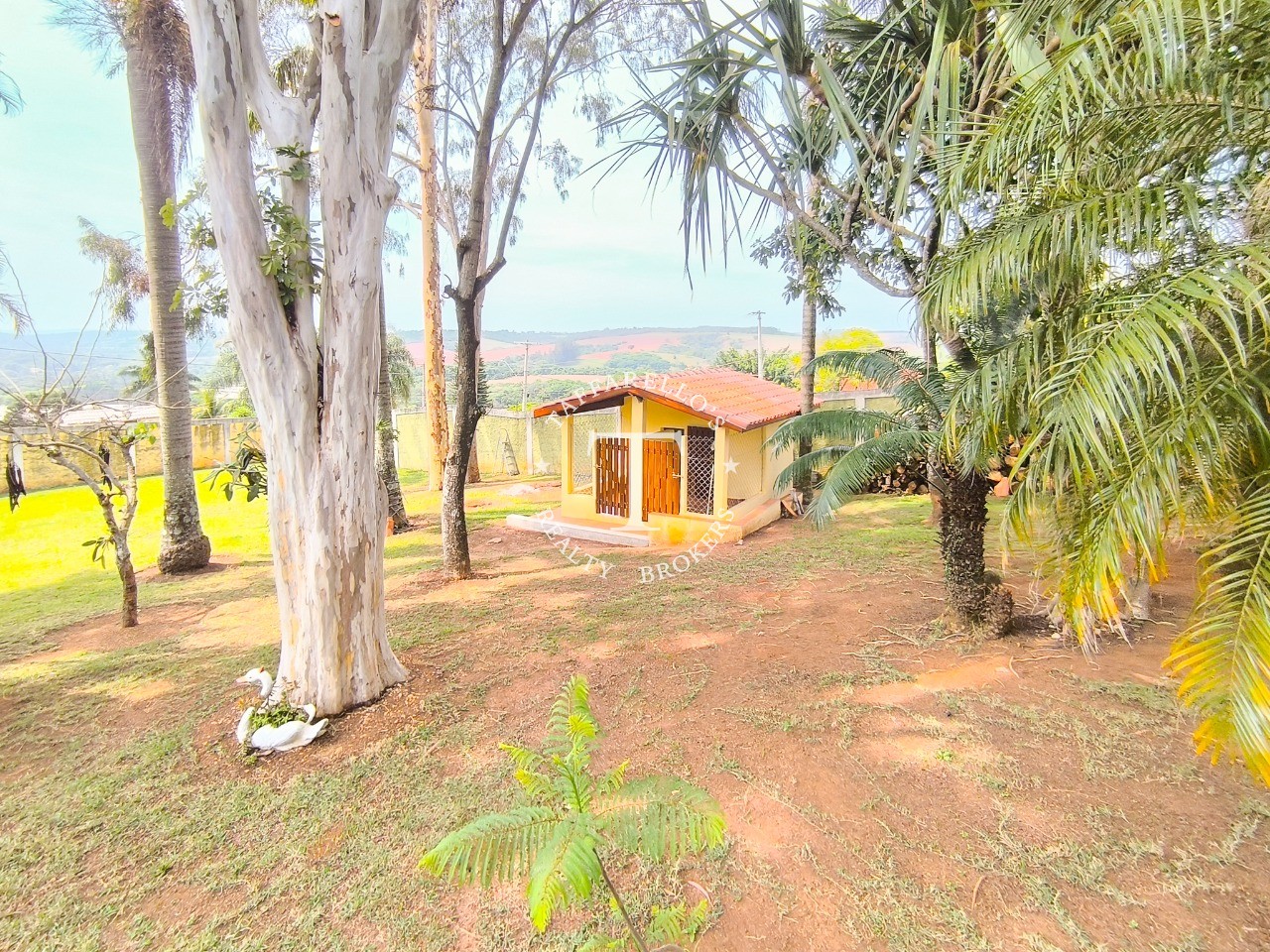 Fazenda à venda com 6 quartos, 564m² - Foto 16