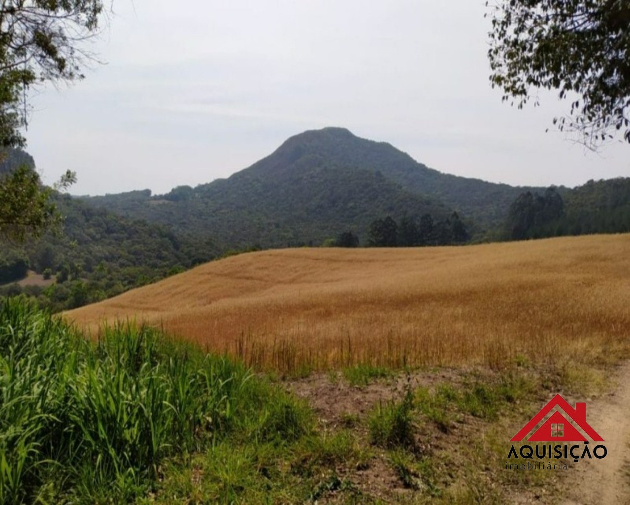 CHÁCARA COM 1 DORMITÓRIO À VENDA, 20000 M²  - FELPUDO - CAMPO LARGO/PR