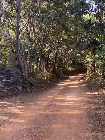 Sítio à venda com 2 quartos, 100m² - Foto 9