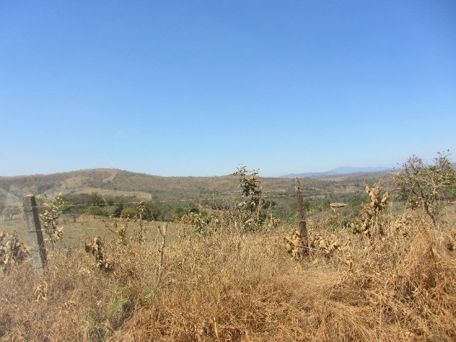 Terreno à venda, 1000m² - Foto 6