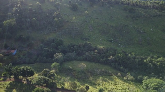 Fazenda à venda com 7 quartos, 650m² - Foto 13