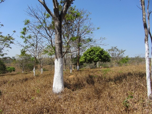 Terreno à venda, 1000m² - Foto 3