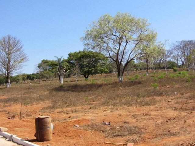 Terreno à venda, 1000m² - Foto 4