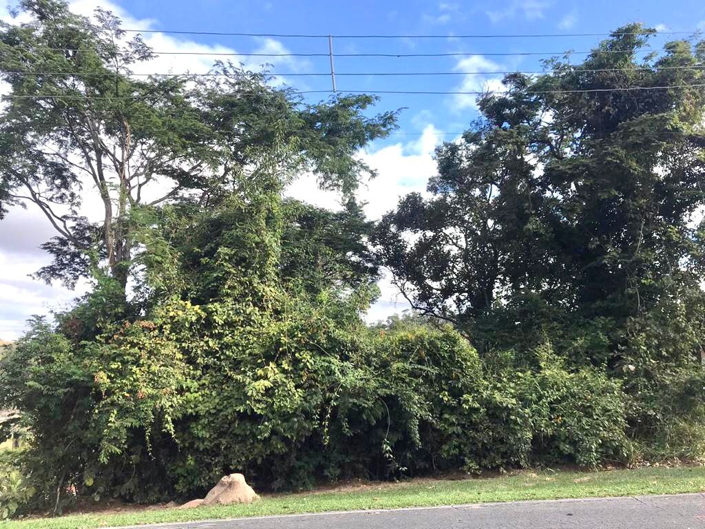 Terreno à venda, 1654m² - Foto 10