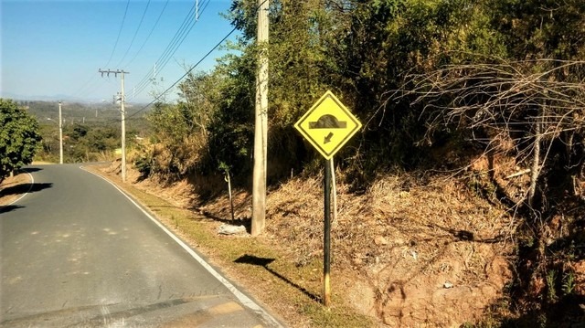 Terreno à venda, 1000m² - Foto 2