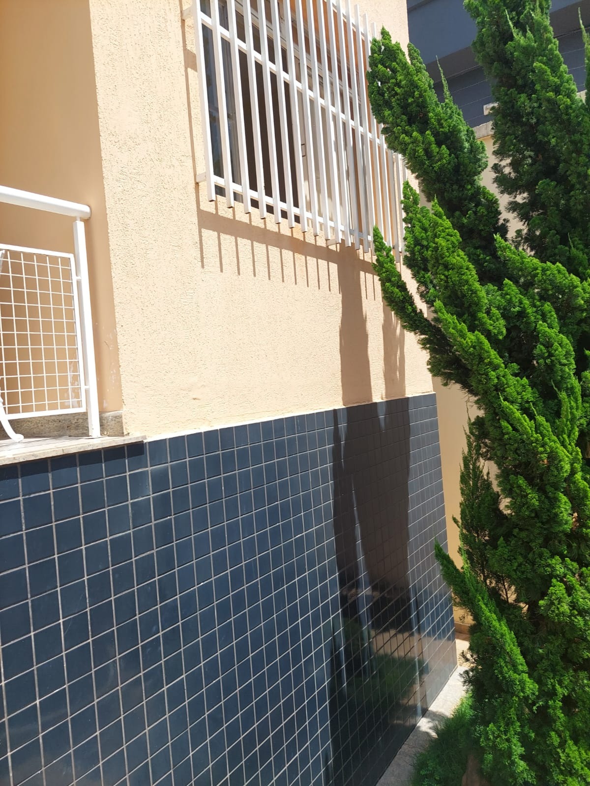Casa, 5 quartos, 360 m² - Foto 2