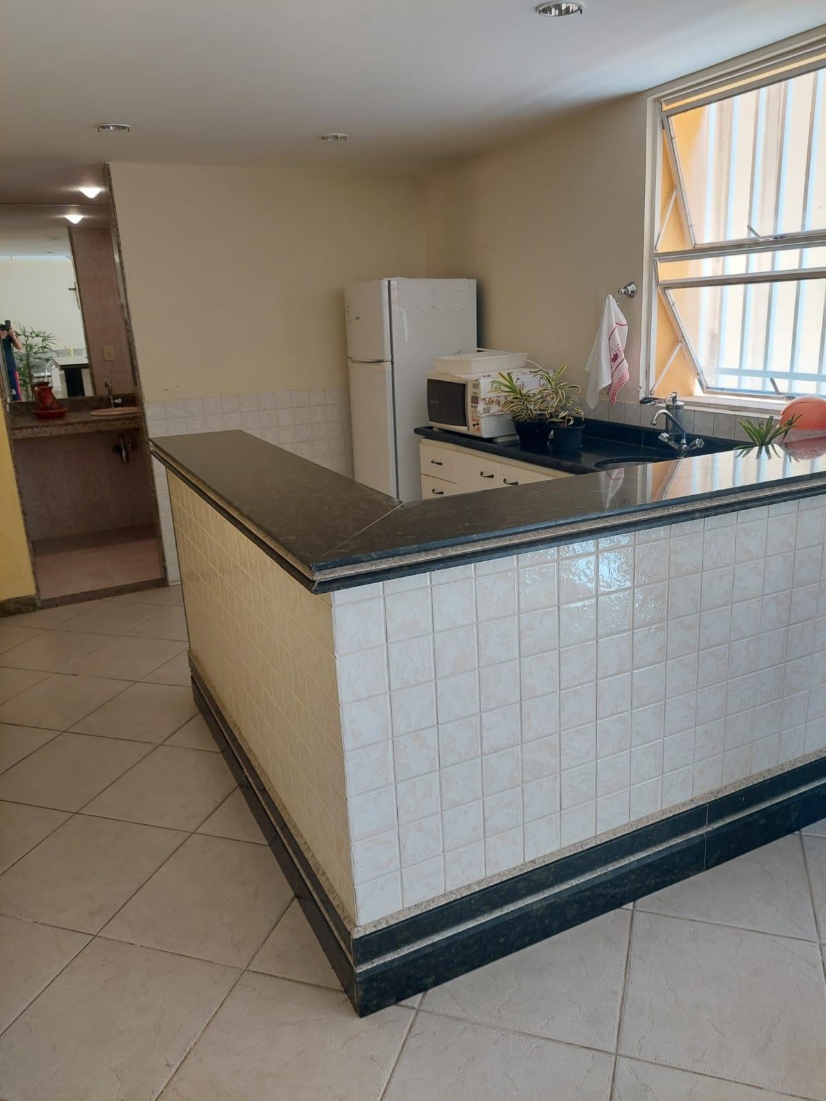 Casa, 5 quartos, 360 m² - Foto 8