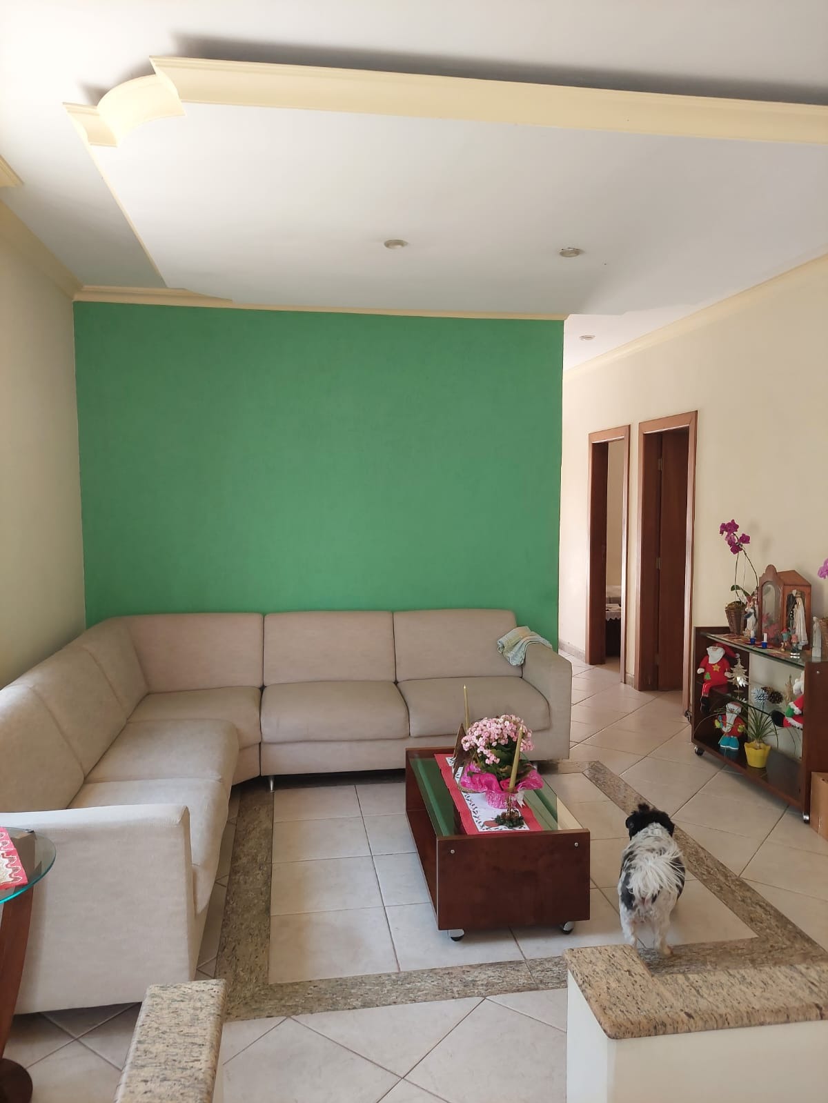 Casa, 5 quartos, 360 m² - Foto 4