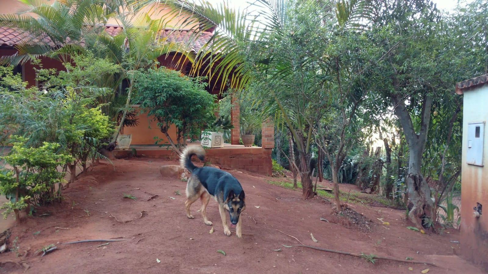 Chácara à venda com 3 quartos, 300m² - Foto 6