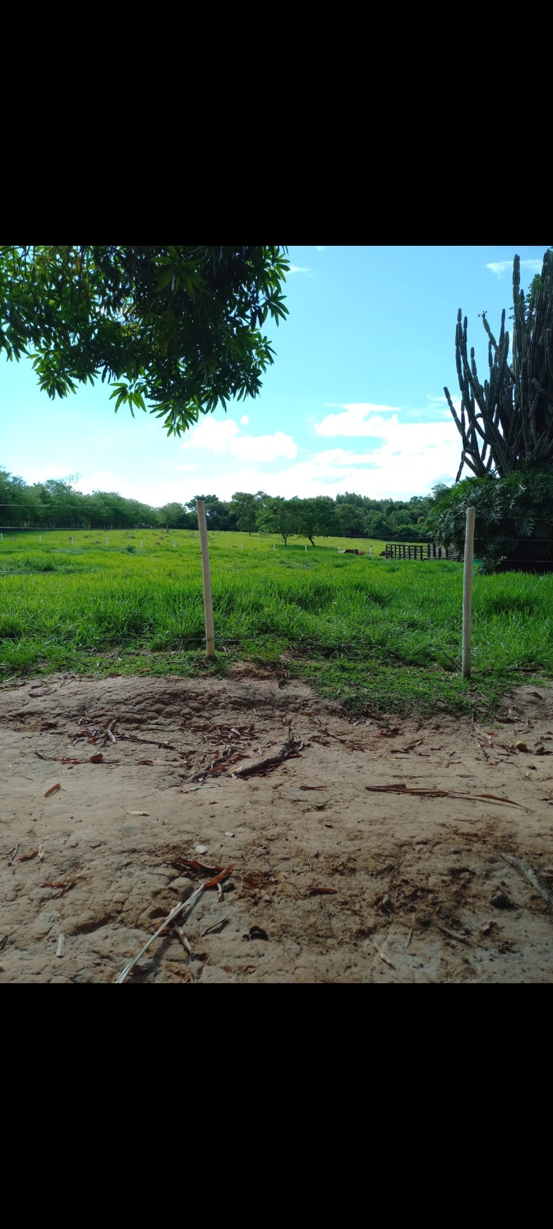 Fazenda à venda com 6 quartos, 500m² - Foto 13