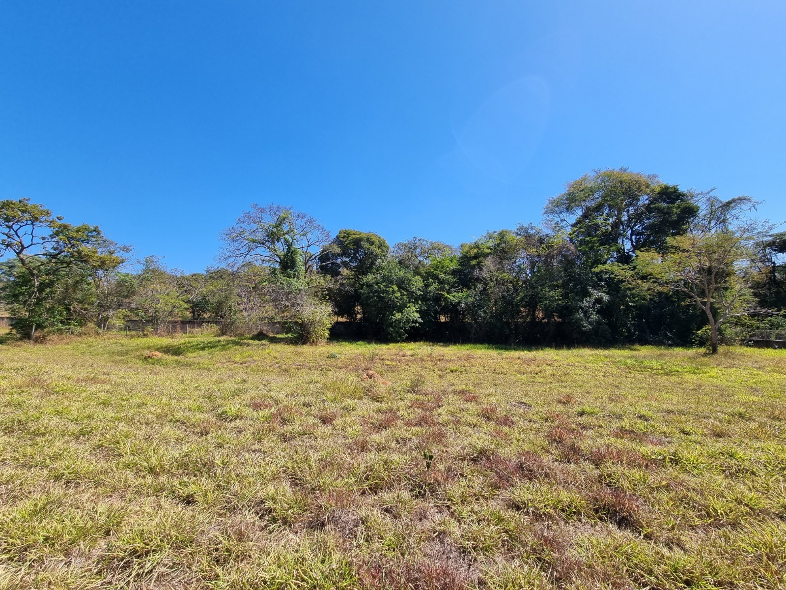 Terreno à venda, 1000m² - Foto 5