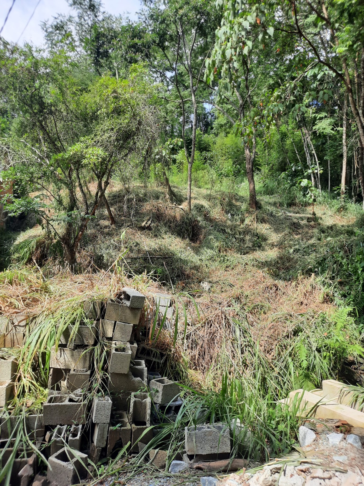 Terreno à venda, 1000m² - Foto 4