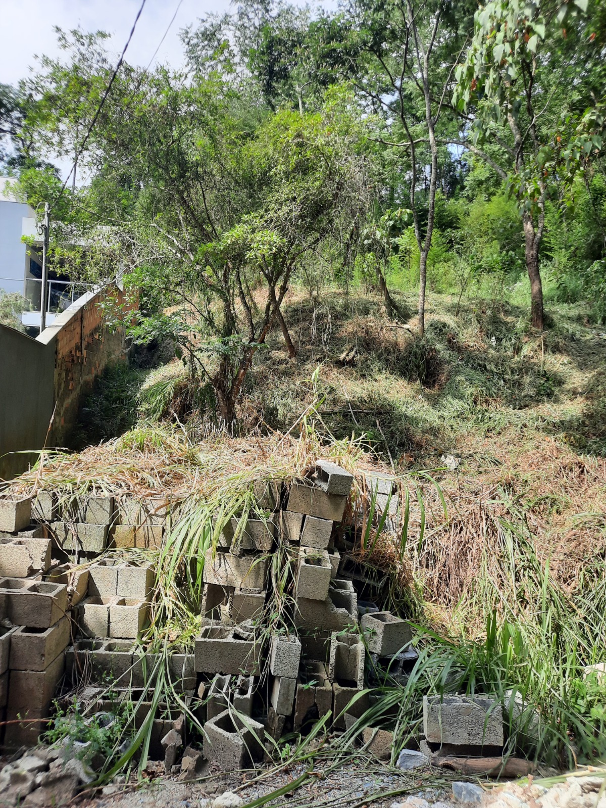 Terreno à venda, 1000m² - Foto 3