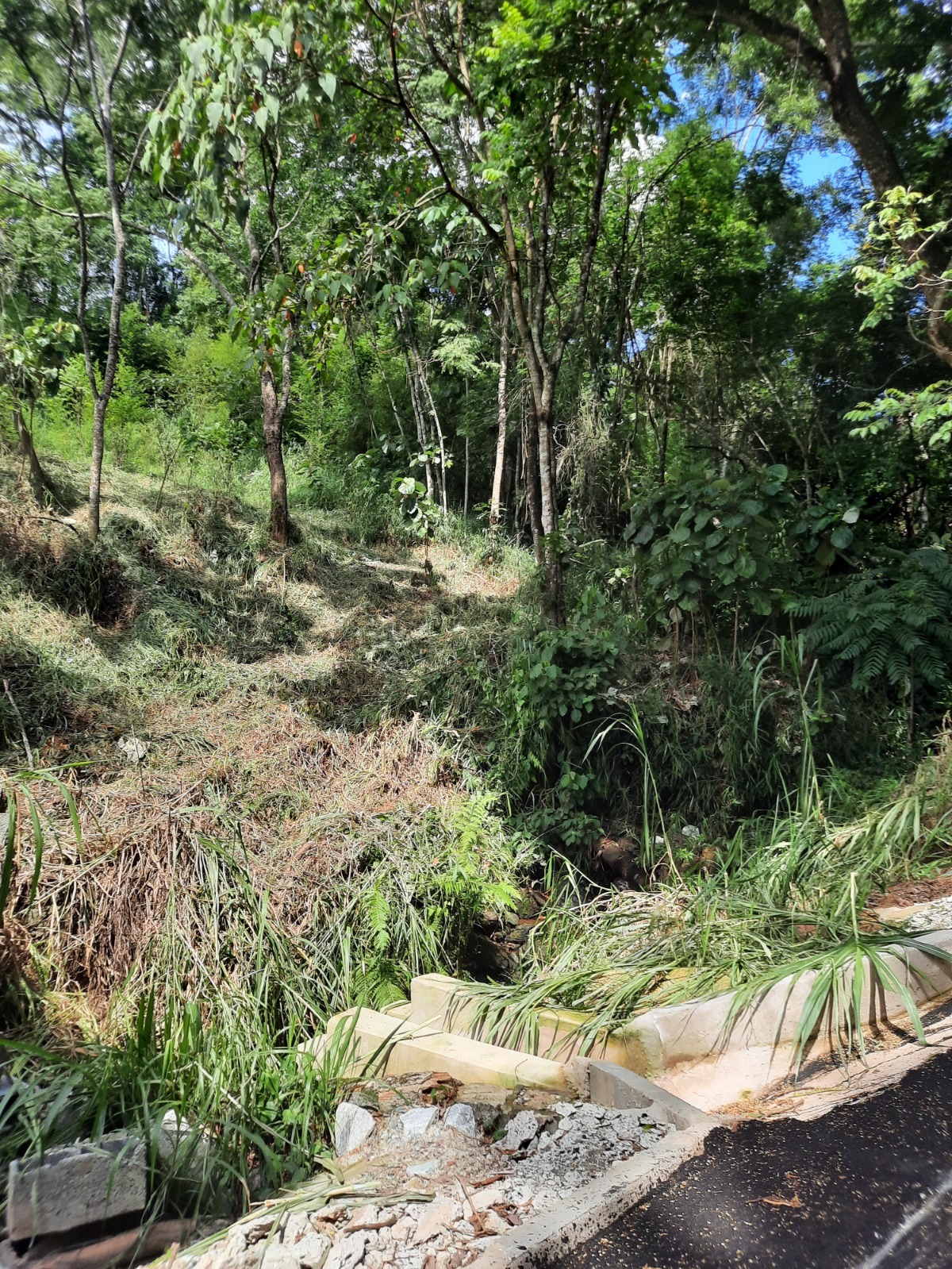 Terreno à venda, 1000m² - Foto 5