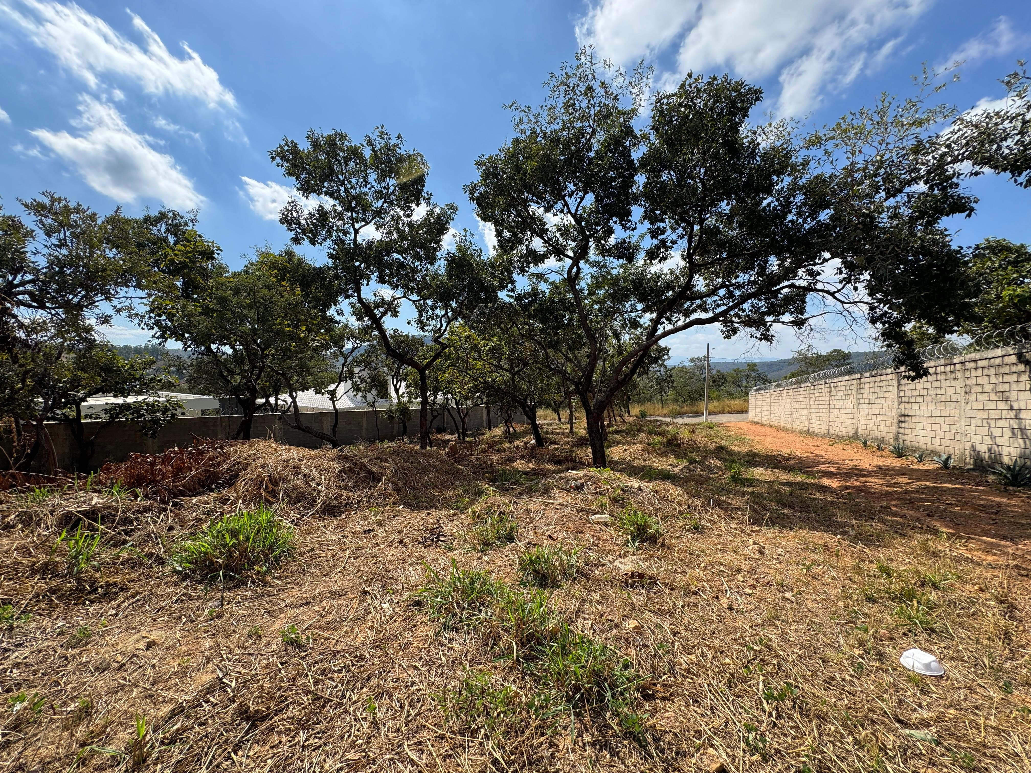 Terreno à venda, 1000m² - Foto 5