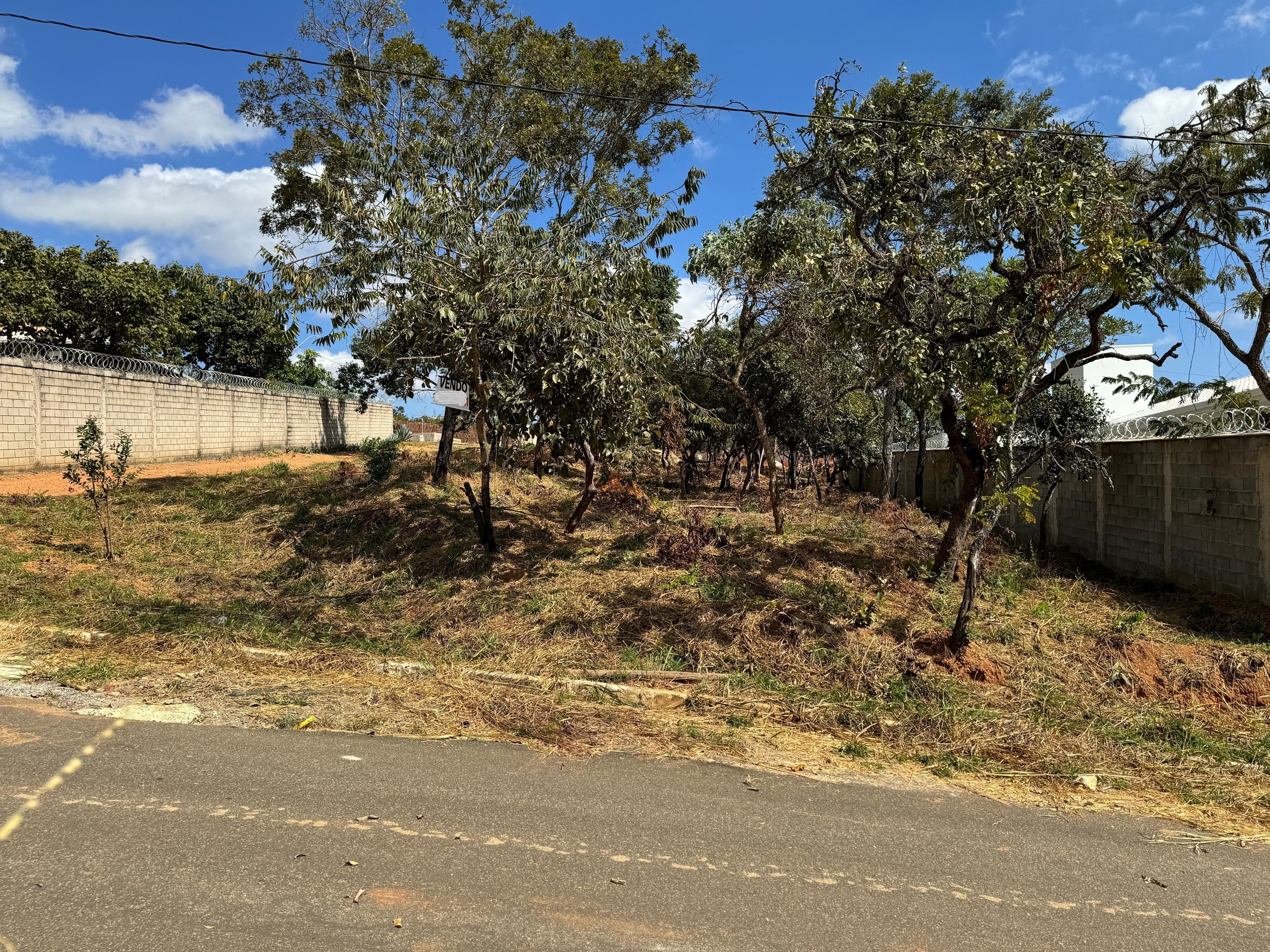 Terreno à venda, 1000m² - Foto 3