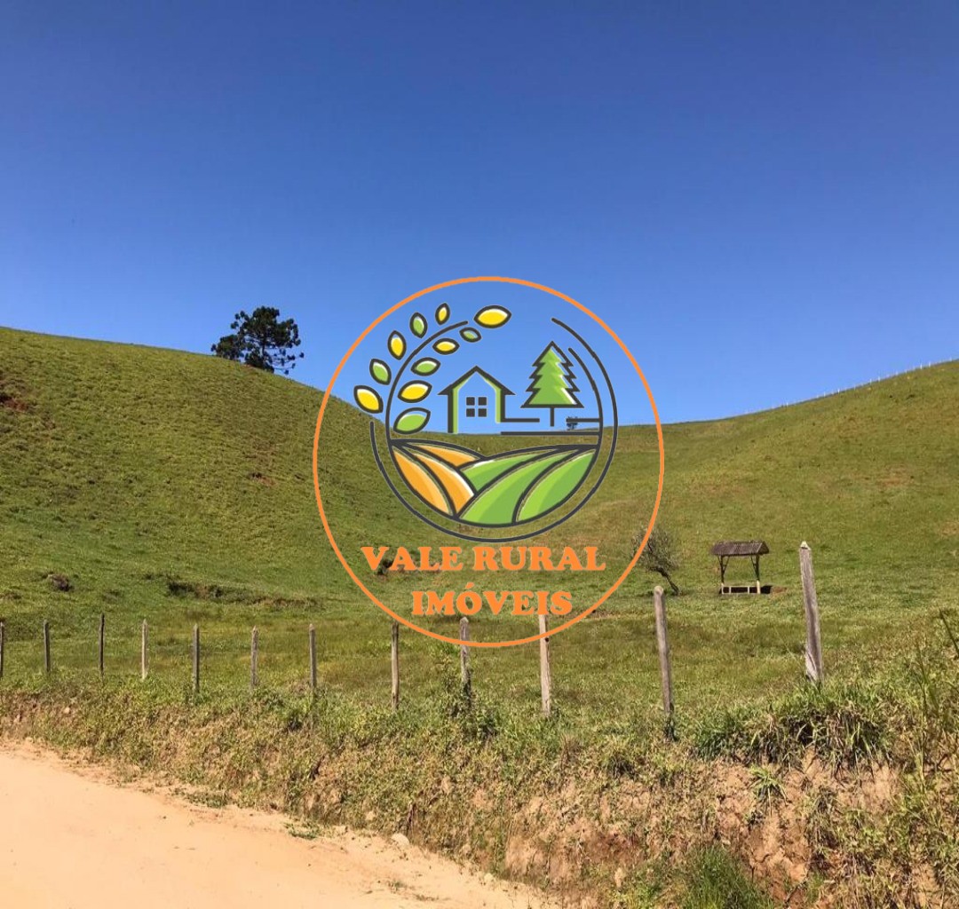 Haras e Área Rural Padrão à venda, 156800m² - Foto 8