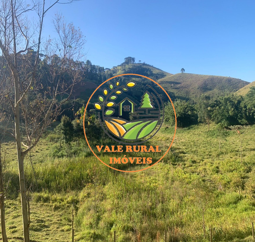 Haras e Área Rural Padrão à venda, 40000m² - Foto 4