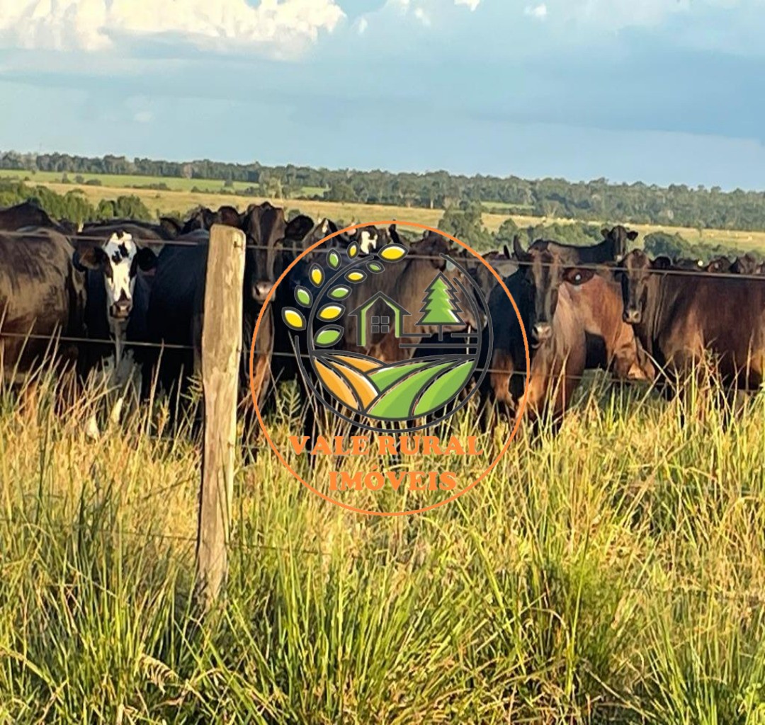 Fazenda à venda, 17125m² - Foto 50