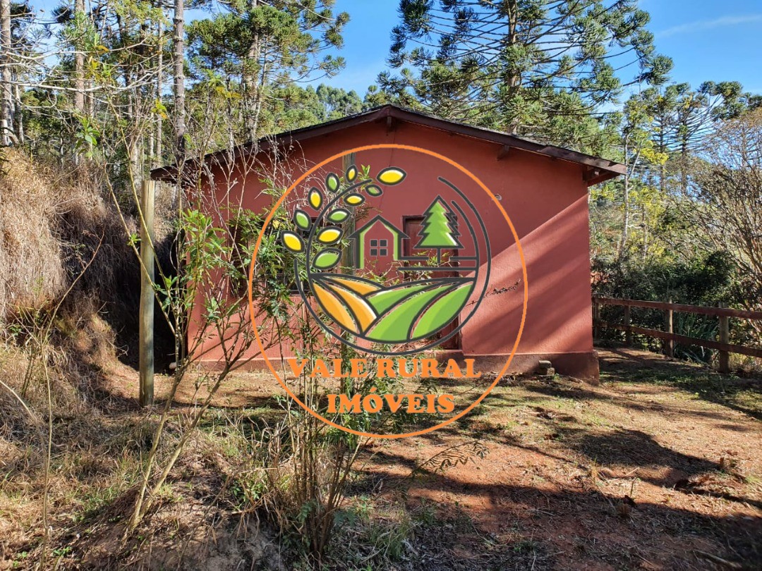 Fazenda à venda com 3 quartos, 45m² - Foto 37