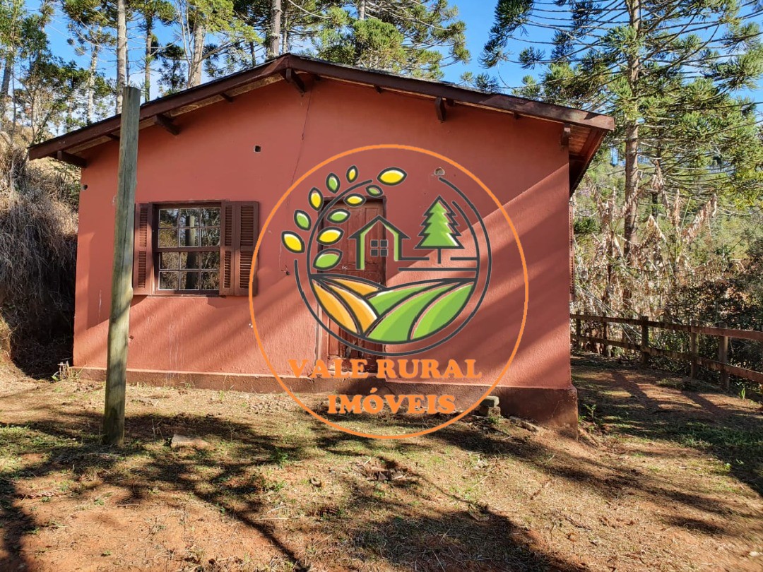 Fazenda à venda com 3 quartos, 45m² - Foto 38