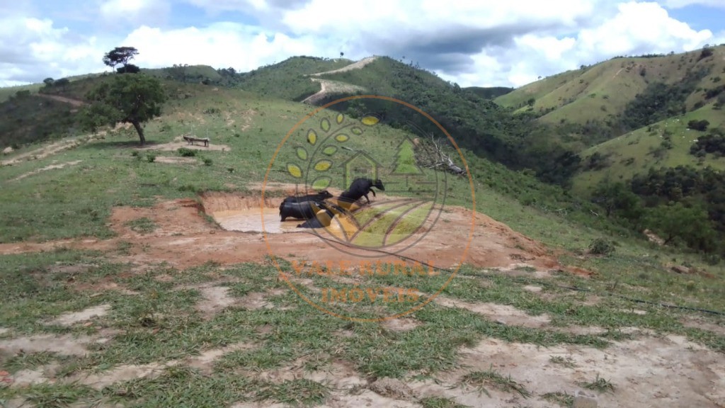 Haras e Área Rural Padrão à venda com 2 quartos, 40m² - Foto 5