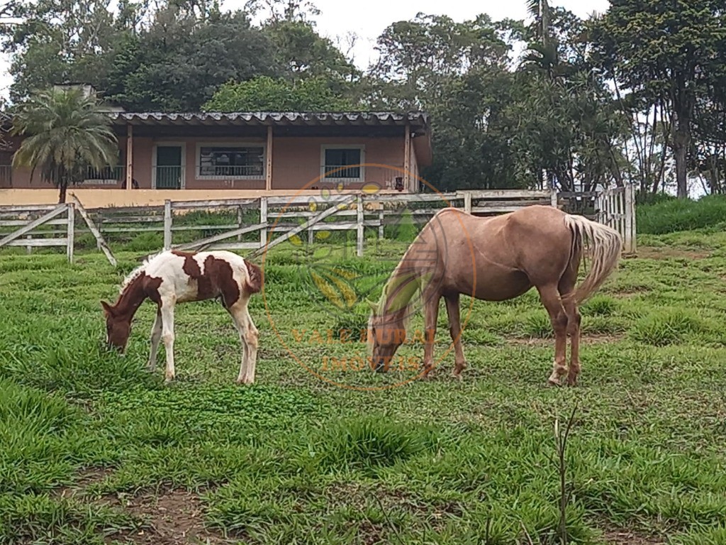 Sítio à venda com 4 quartos, 114700m² - Foto 6