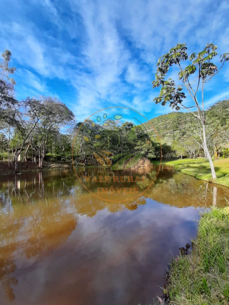 Chácara à venda com 4 quartos, 15400m² - Foto 3