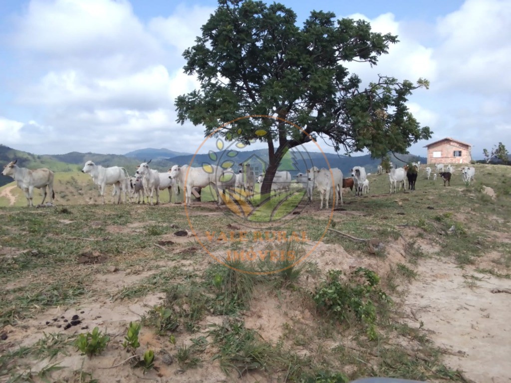 Haras e Área Rural Padrão à venda com 2 quartos, 40m² - Foto 1