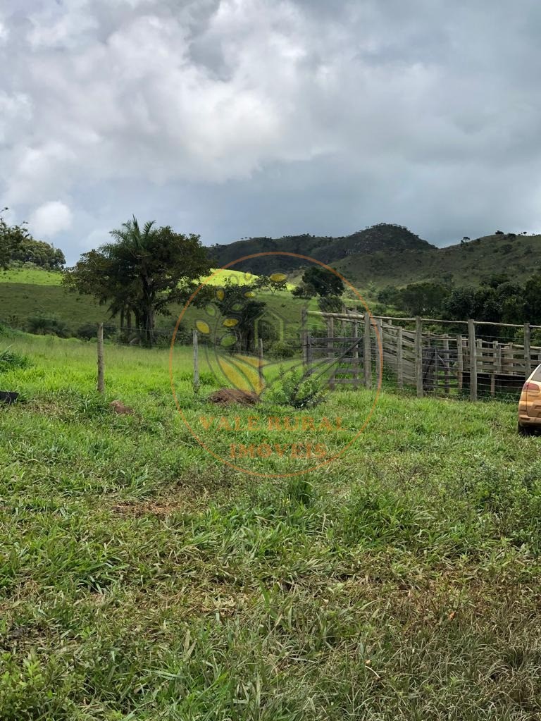 Fazenda à venda com 5 quartos, 192m² - Foto 5