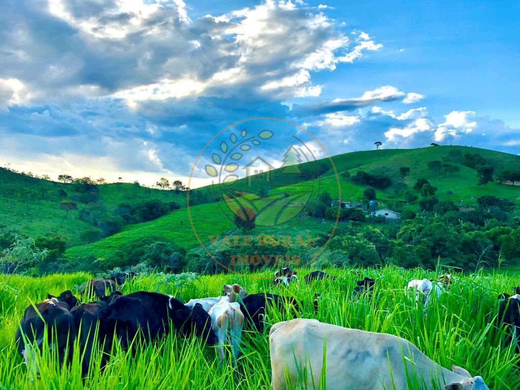 Fazenda à venda com 5 quartos, 192m² - Foto 1