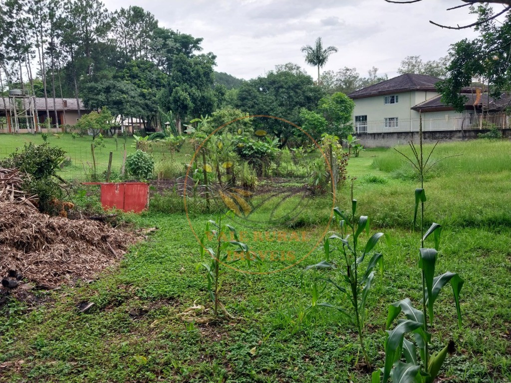 Chácara à venda com 3 quartos, 10000m² - Foto 11