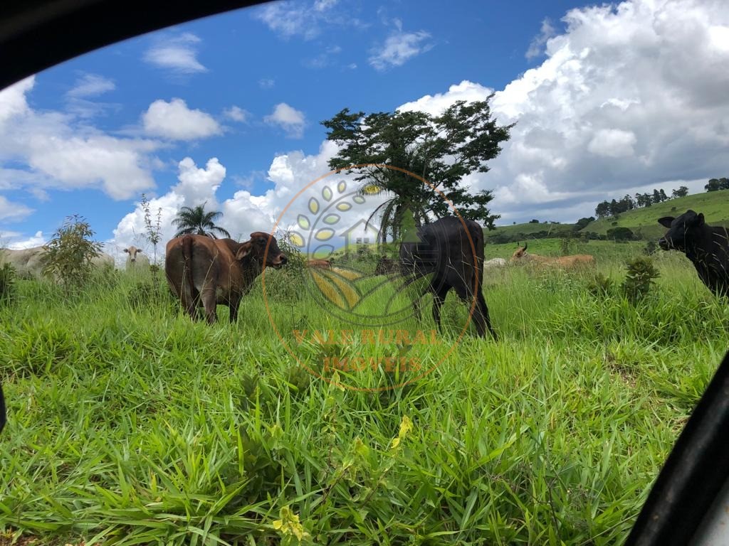 Fazenda à venda com 5 quartos, 192m² - Foto 7