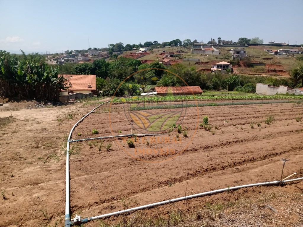 Chácara à venda com 4 quartos, 15000m² - Foto 6