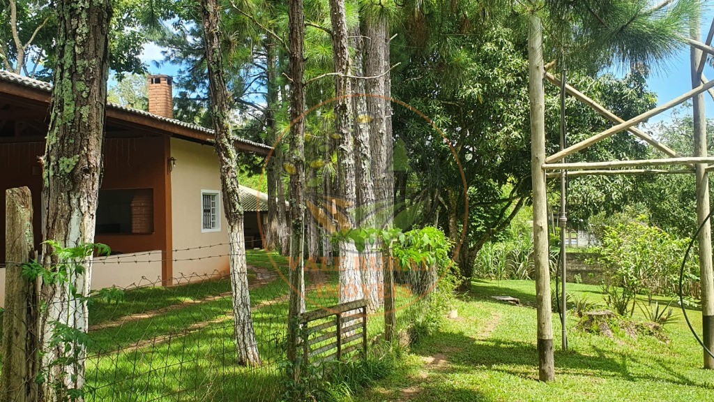 Chácara à venda com 3 quartos, 10000m² - Foto 15