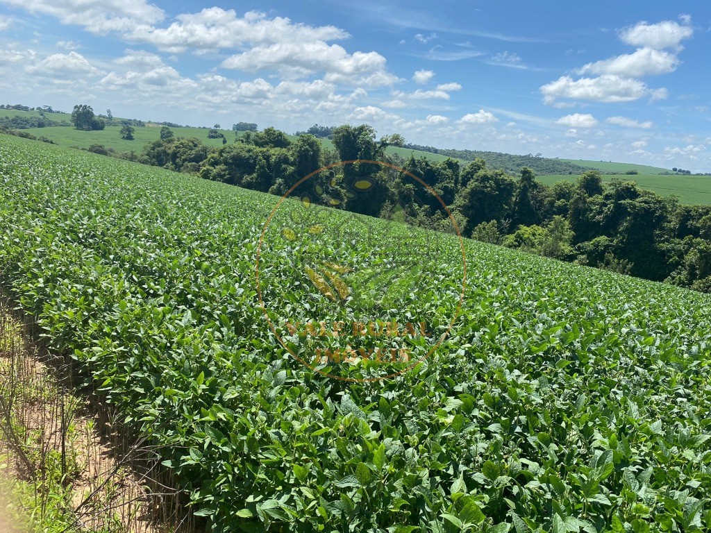 Fazenda à venda, 140m² - Foto 8