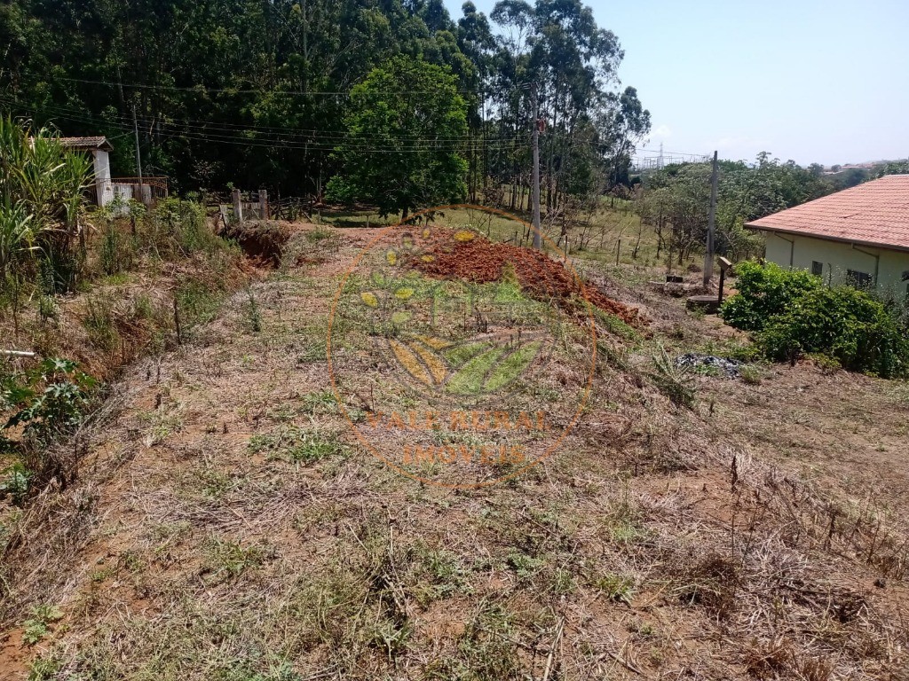 Chácara à venda com 4 quartos, 15000m² - Foto 3