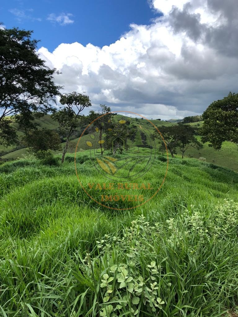 Fazenda à venda com 5 quartos, 192m² - Foto 4