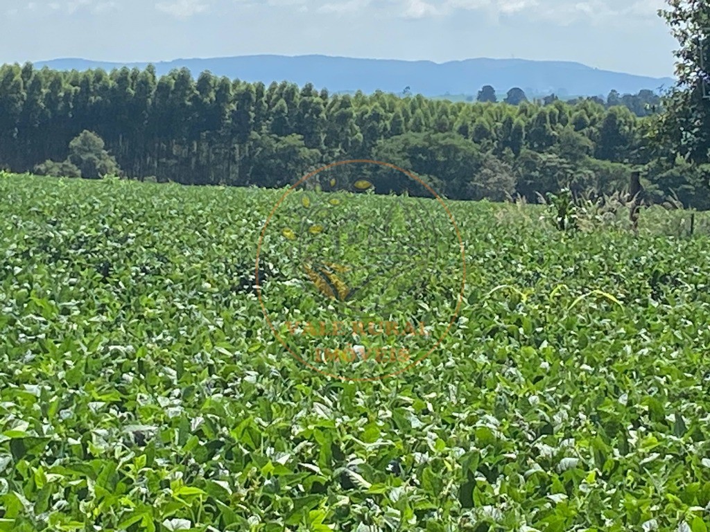 Fazenda à venda, 140m² - Foto 16