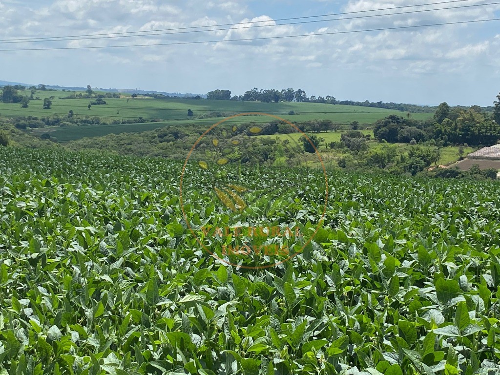 Fazenda à venda, 140m² - Foto 1