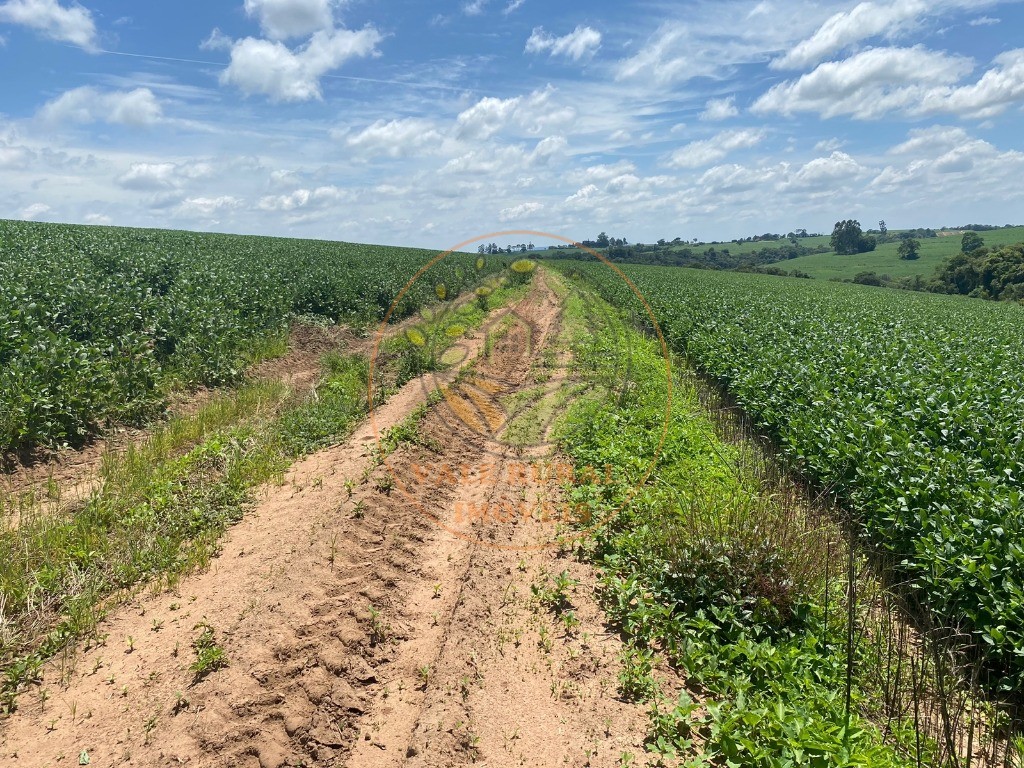 Fazenda à venda, 140m² - Foto 9