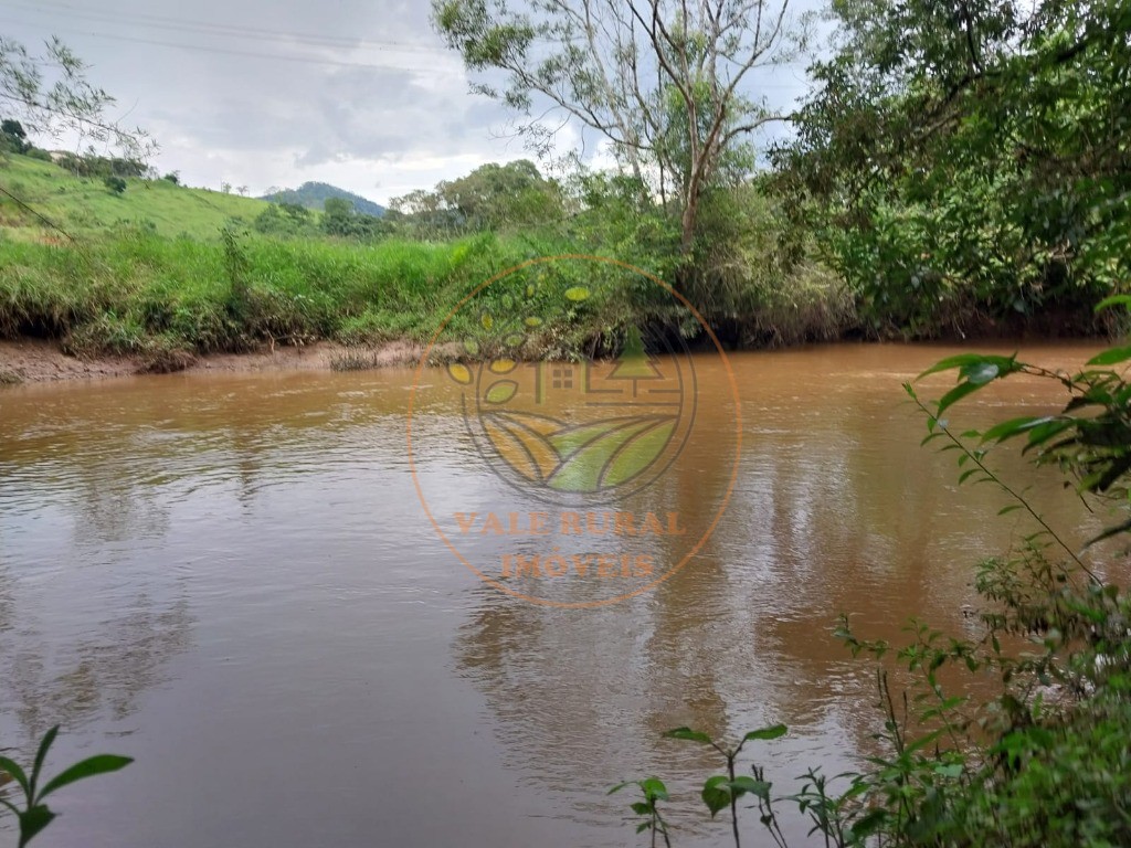 Chácara à venda com 3 quartos, 10000m² - Foto 12