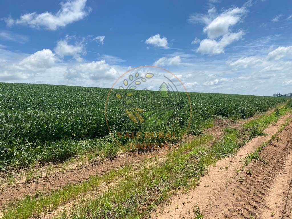 Fazenda à venda, 140m² - Foto 13